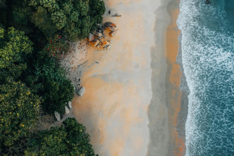 an aerial view of a sandy beach surrounded by trees, unsplash contest winner, abel tasman, sri lanka, muted colors. ue 5, bird\'s eye view