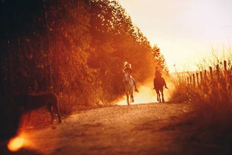 a couple of people riding horses down a dirt road, unsplash, sunflare, chasing a kangaroo, 👰 🏇 ❌ 🍃, autumn sunrise warm light