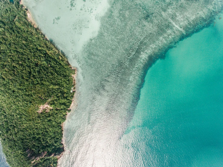 an aerial view of a large body of water, a screenshot, by Julian Allen, unsplash contest winner, beach and tropical vegetation, half and half, glistening seafoam, split near the left