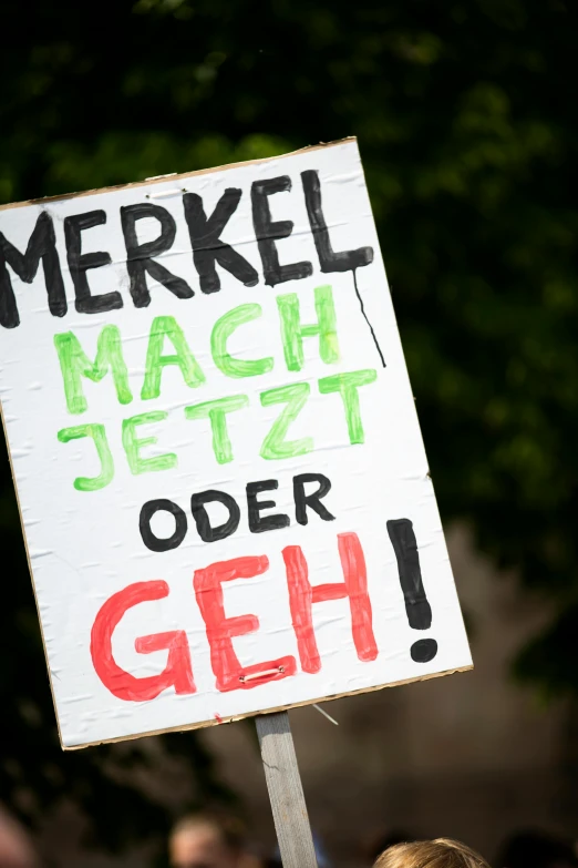 a woman holding a sign in front of a crowd, a poster, by Marion Wachtel, pexels, german chancellor, poster ; summer, a green, magitek