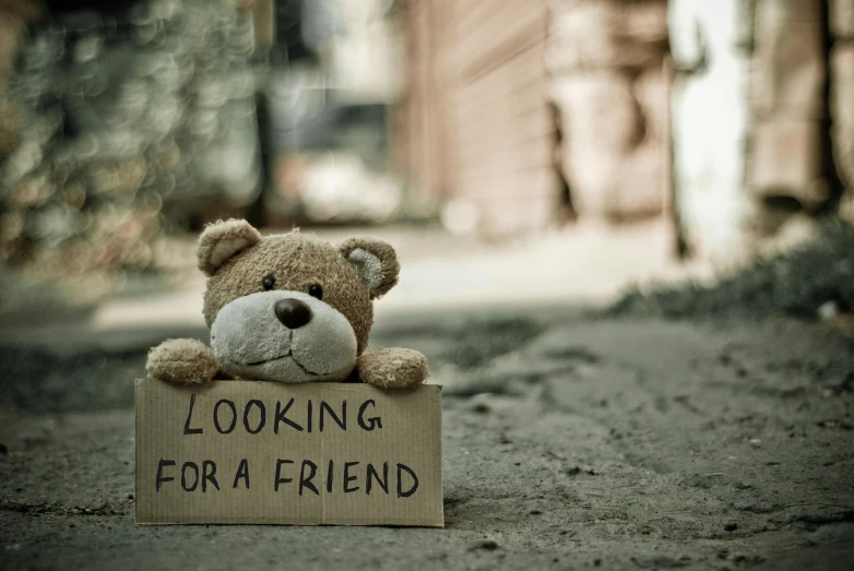 a teddy bear holding a sign that says looking for a friend, trending on pixabay, graffiti, poverty, blurred, background image