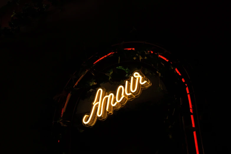 a neon sign hanging from the side of a building, by Andrée Ruellan, unsplash contest winner, art nouveau, highly detailed amour, indoor picture, ember, brown