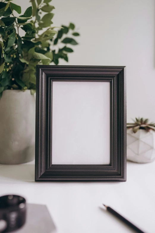 a picture frame sitting on top of a desk next to a plant, by Julia Pishtar, dark chocolate hair colour, matt finish, with ornamental edges, on a white table