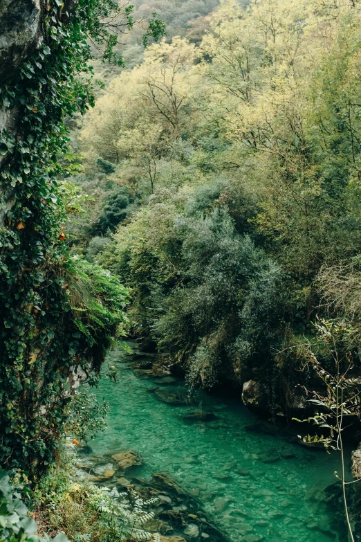 a river running through a lush green forest, a picture, inspired by Elsa Bleda, pexels contest winner, renaissance, turkey, mediterranean, teal aesthetic, multiple stories