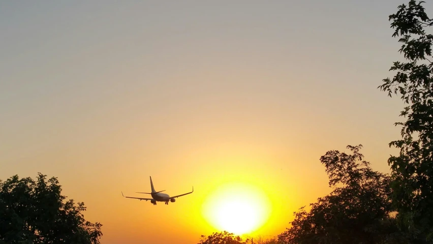 a large jetliner flying over a lush green forest, by Carey Morris, pexels contest winner, sun sunset, avatar image, low angle view, instagram picture