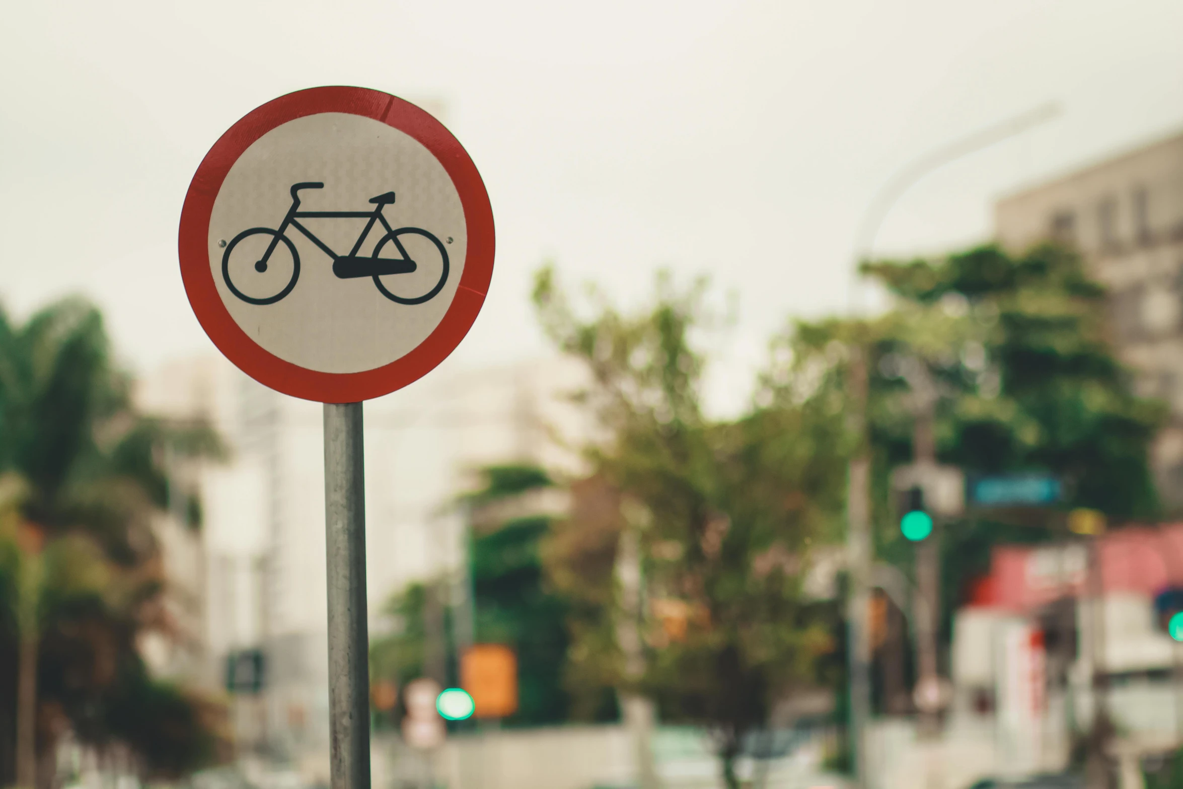 a red and white sign sitting on the side of a road, a picture, unsplash, bicycles, avatar image, sao paulo, a green