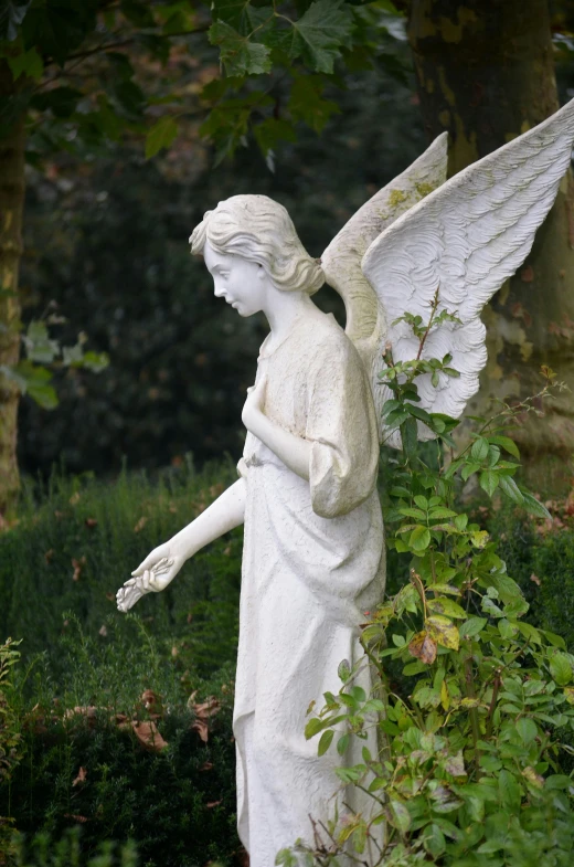 a statue of an angel in a garden, large white wings, right hand side profile, an angel standing still, a green