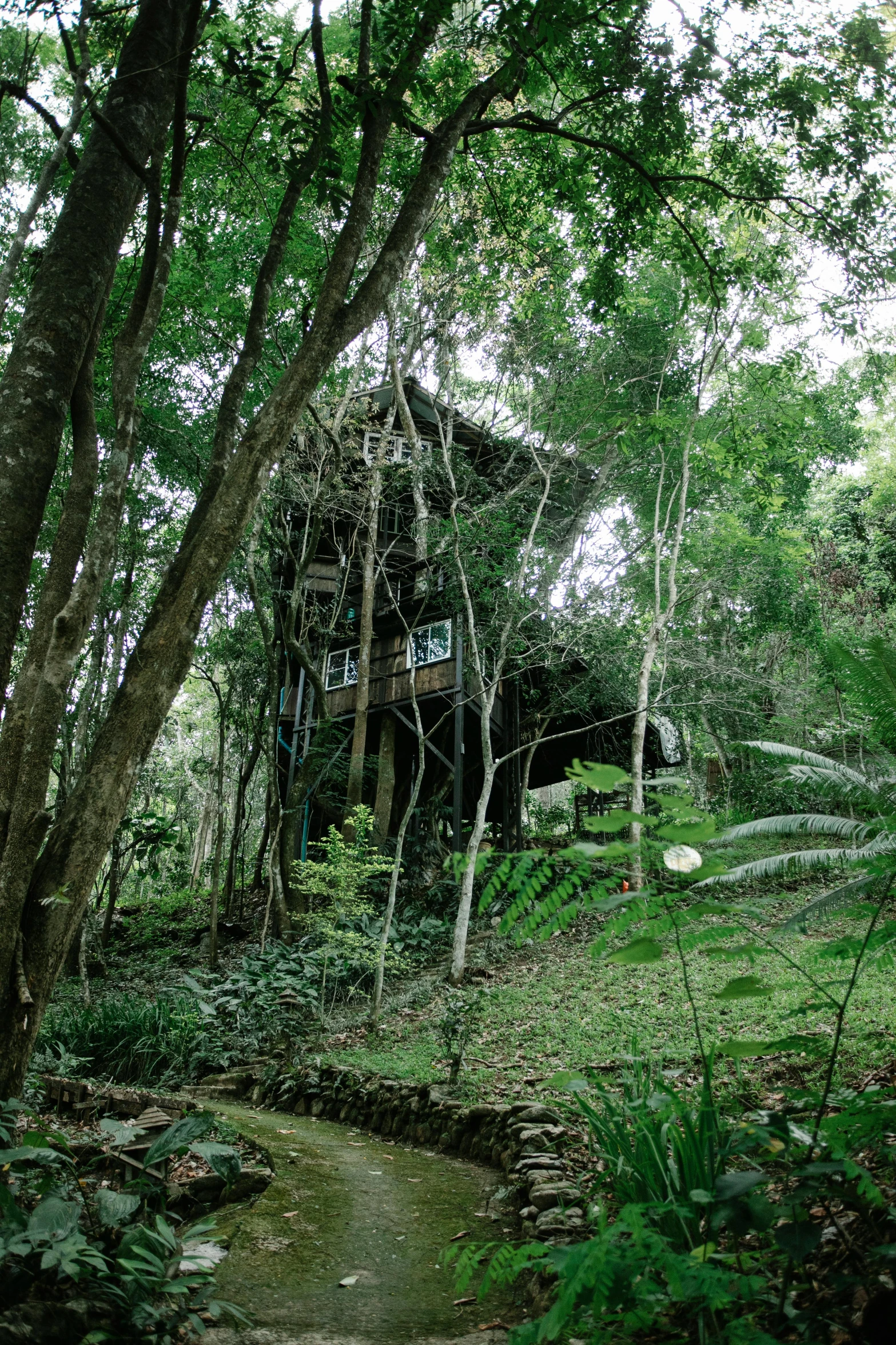 a small stream running through a lush green forest, by Jessie Algie, houses on stilts, beachwood treehouse, panoramic shot, elevation