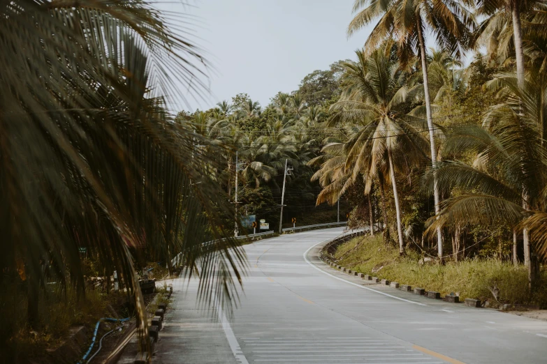 an empty road surrounded by palm trees on a sunny day, by Carey Morris, pexels contest winner, sumatraism, 1970s philippines, flowing curves, thumbnail, high quality photo