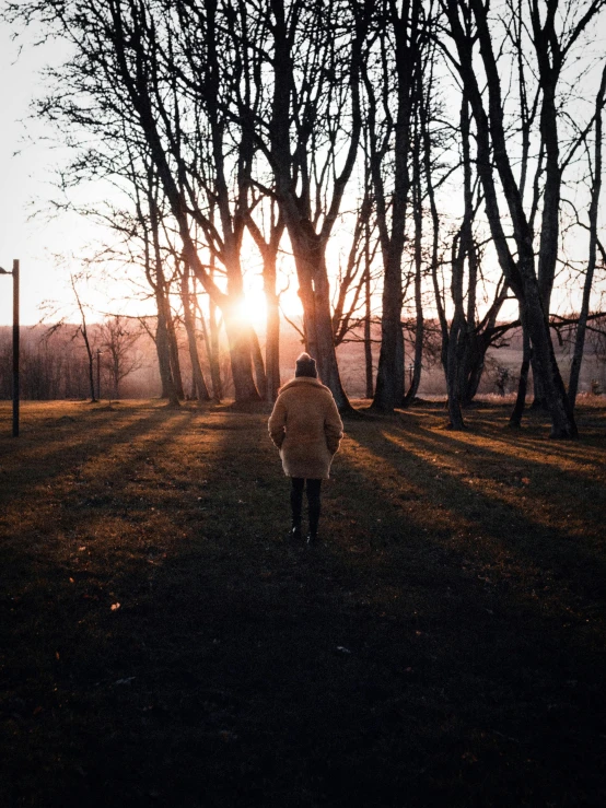 a person walking through a park at sunset, happening, jovana rikalo, lit from behind, harsh sunlight, trees in the background