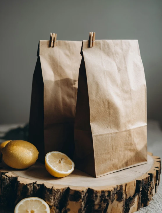 two bags of lemons sitting on top of a tree stump, a portrait, unsplash, cutlery, brown paper, studio photo, close-up product photo