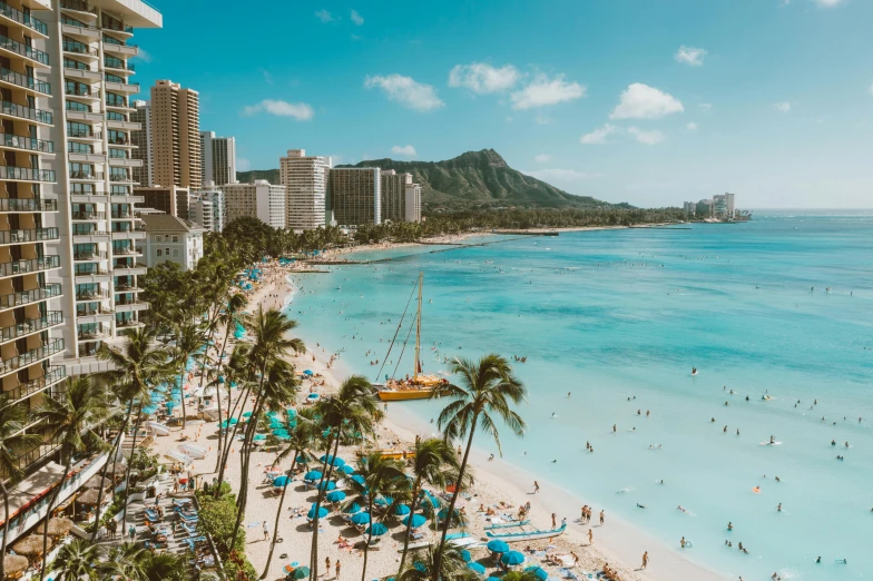 a beach filled with lots of people and palm trees, by Drew Tucker, pexels contest winner, 🚿🗝📝