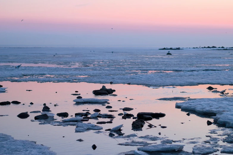 a body of water filled with lots of ice, a picture, by Julia Pishtar, unsplash contest winner, pastel sunset, pink, arctic fish, 2 0 2 2 photo