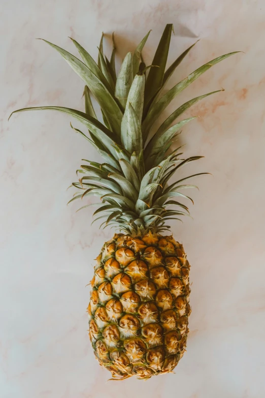 a close up of a pineapple on a table, on a large marble wall, no cropping, oceanside, single pine