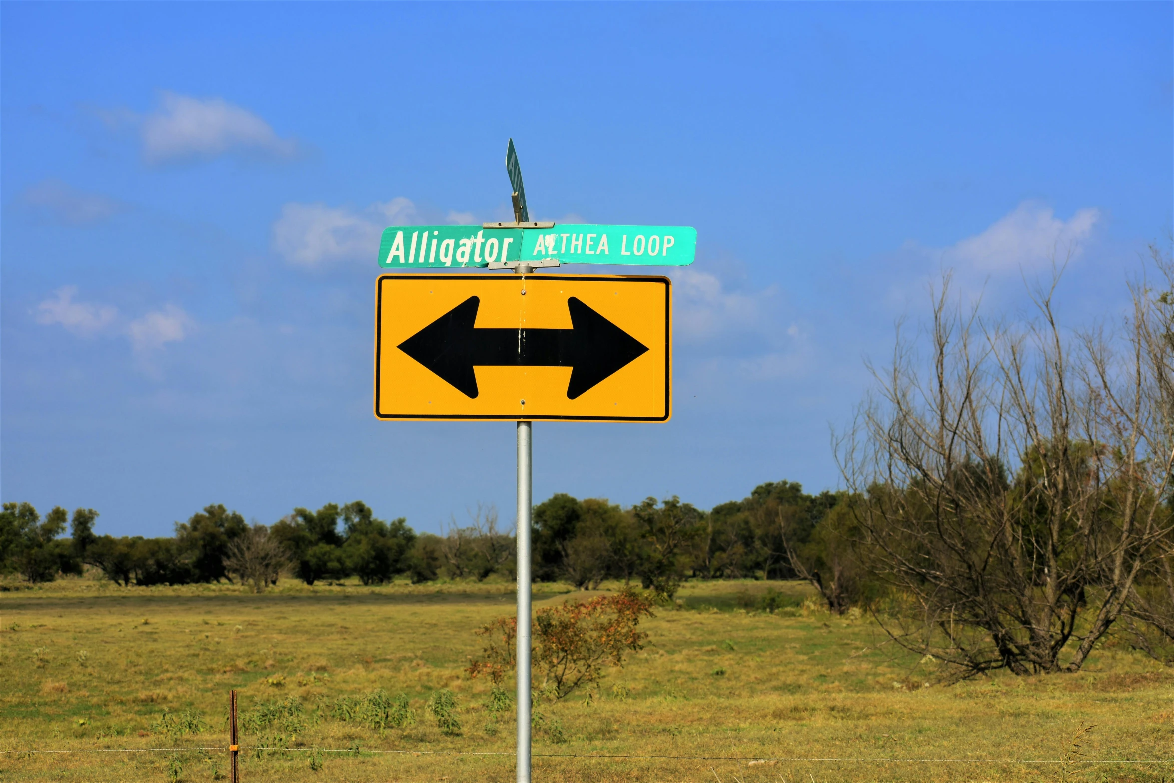 a yellow street sign sitting in the middle of a field, by Lisa Milroy, alligator, 4k -, long distance photo, intersection