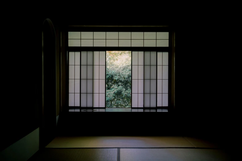 the sun shines through a window in a dark room, inspired by Goyō Hashiguchi, sōsaku hanga, lpoty, in a serene landscape, large windows, doorway