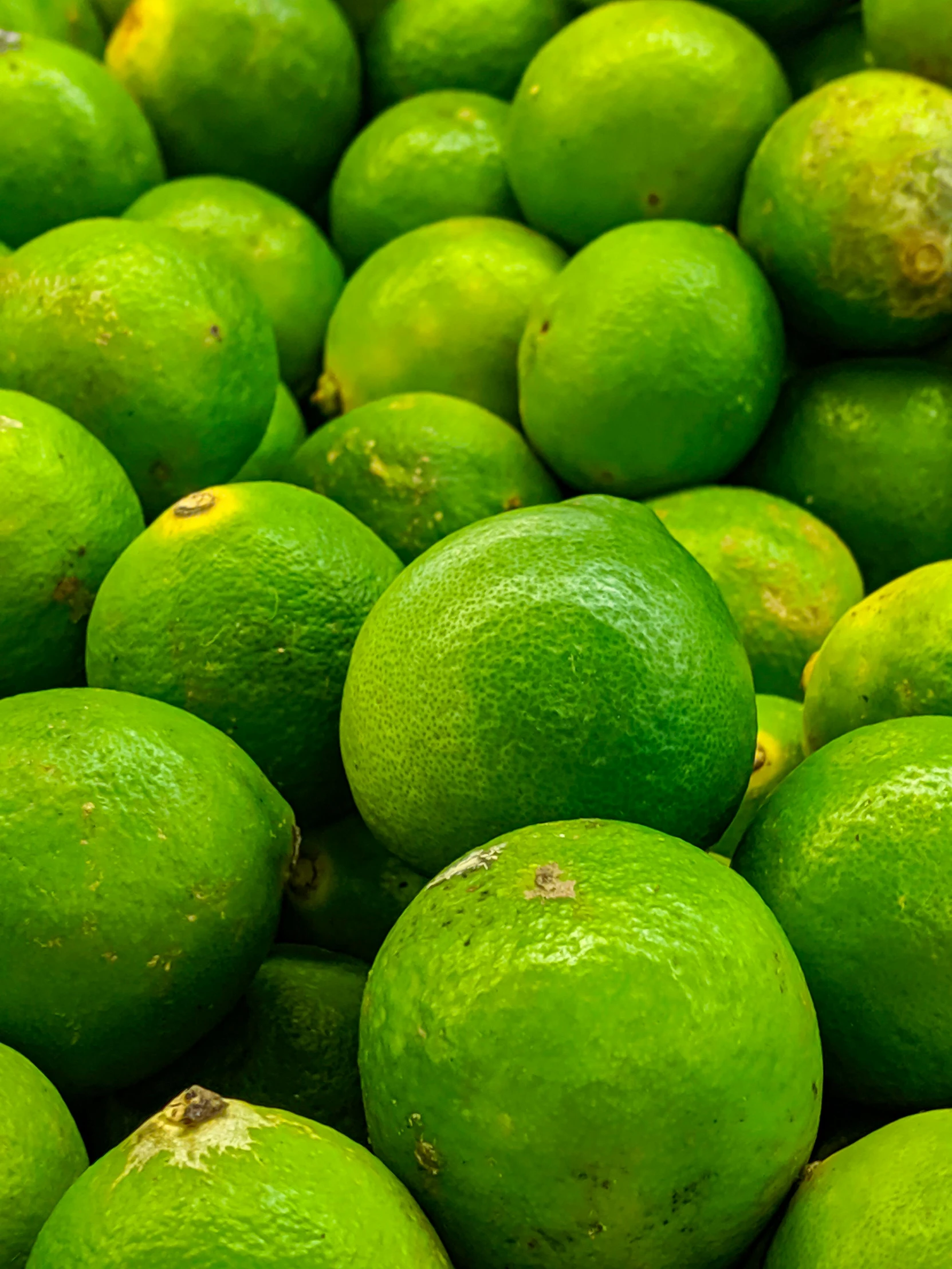 a pile of limes sitting on top of each other, profile image, highly upvoted, large)}], profile pic