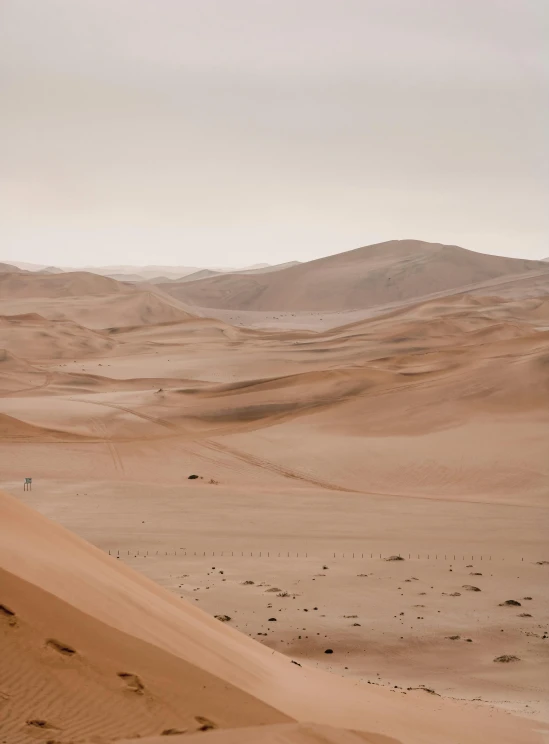 a person riding a horse in the desert, inspired by Zhang Kechun, pexels contest winner, musk's mars migration program, girl walking between dunes, beach is between the two valleys, an expansive grassy plain