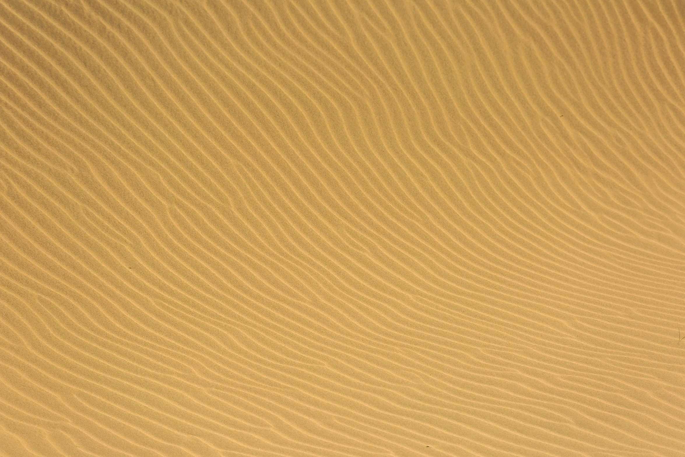 a man riding a surfboard on top of a sandy beach, flickr, op art, deep golden sand desert, subtle pattern, megascans texture, yellow hue