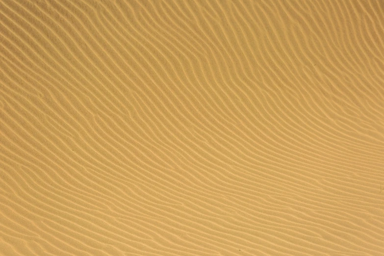a man riding a surfboard on top of a sandy beach, flickr, op art, deep golden sand desert, subtle pattern, megascans texture, yellow hue