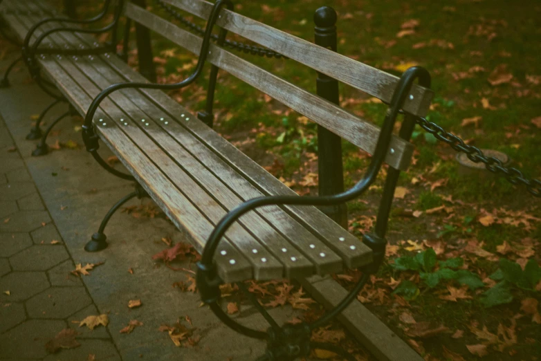 a couple of park benches sitting next to each other, inspired by Elsa Bleda, pexels contest winner, withered, today\'s featured photograph 4k, cinestill 8 0 0 tungsten 3 5 mm, autum