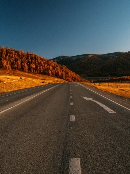 an empty road in the middle of a field, by Andrei Kolkoutine, pexels contest winner, realism, golden autumn, mongolia, in front of a forest background, today\'s featured photograph 4k