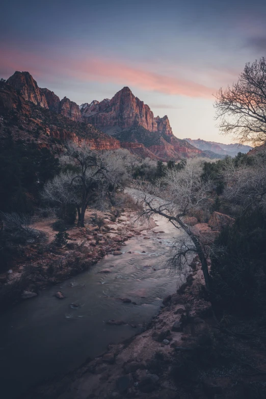 a river running through the middle of a desert, by Marshall Arisman, unsplash contest winner, detailed trees and cliffs, dusk light, winter, landscape with red mountains