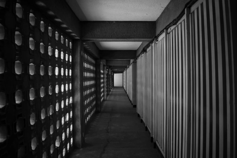 a black and white photo of a long hallway, inspired by Mario Sironi, unsplash, brutalism, cages, brutalist aztec architecture, tourist photo, set photo