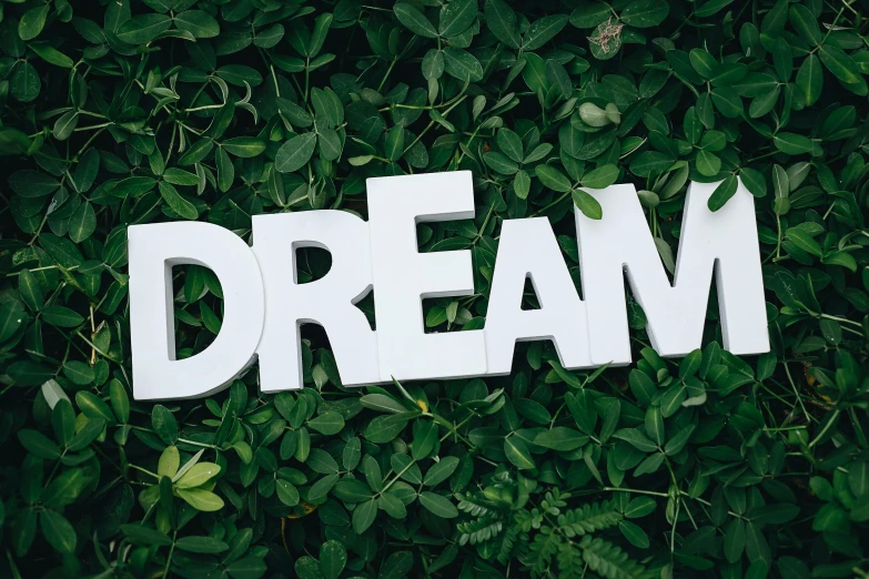 a white sign sitting on top of a lush green field, pexels contest winner, ! dream, paper cut out, lettering, green wall