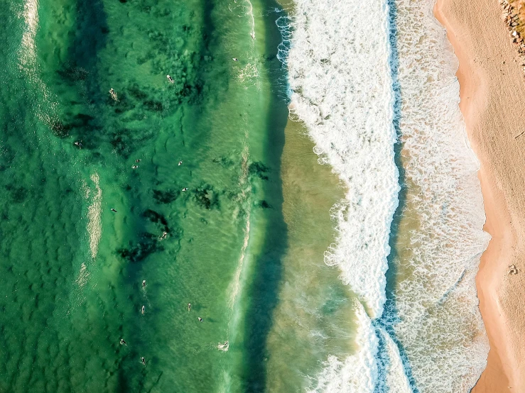 a large body of water next to a sandy beach, by Niko Henrichon, unsplash contest winner, close-up from above, green and white, manly, vibrant hues