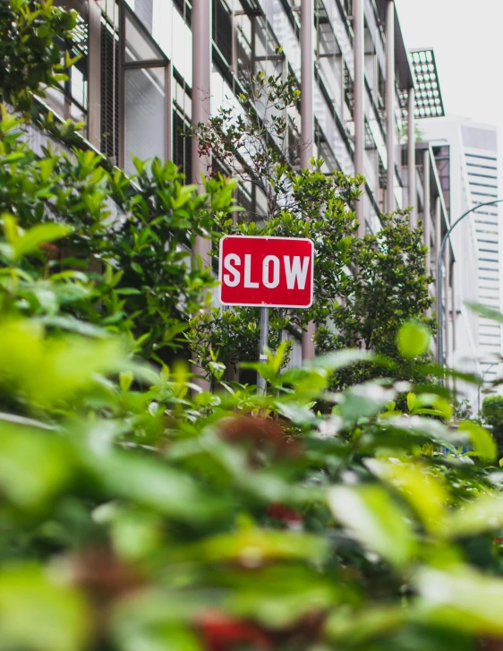 a red slow sign sitting on the side of a building, trending on unsplash, the city is full of green plants, speed, narrow streets, lgbtq