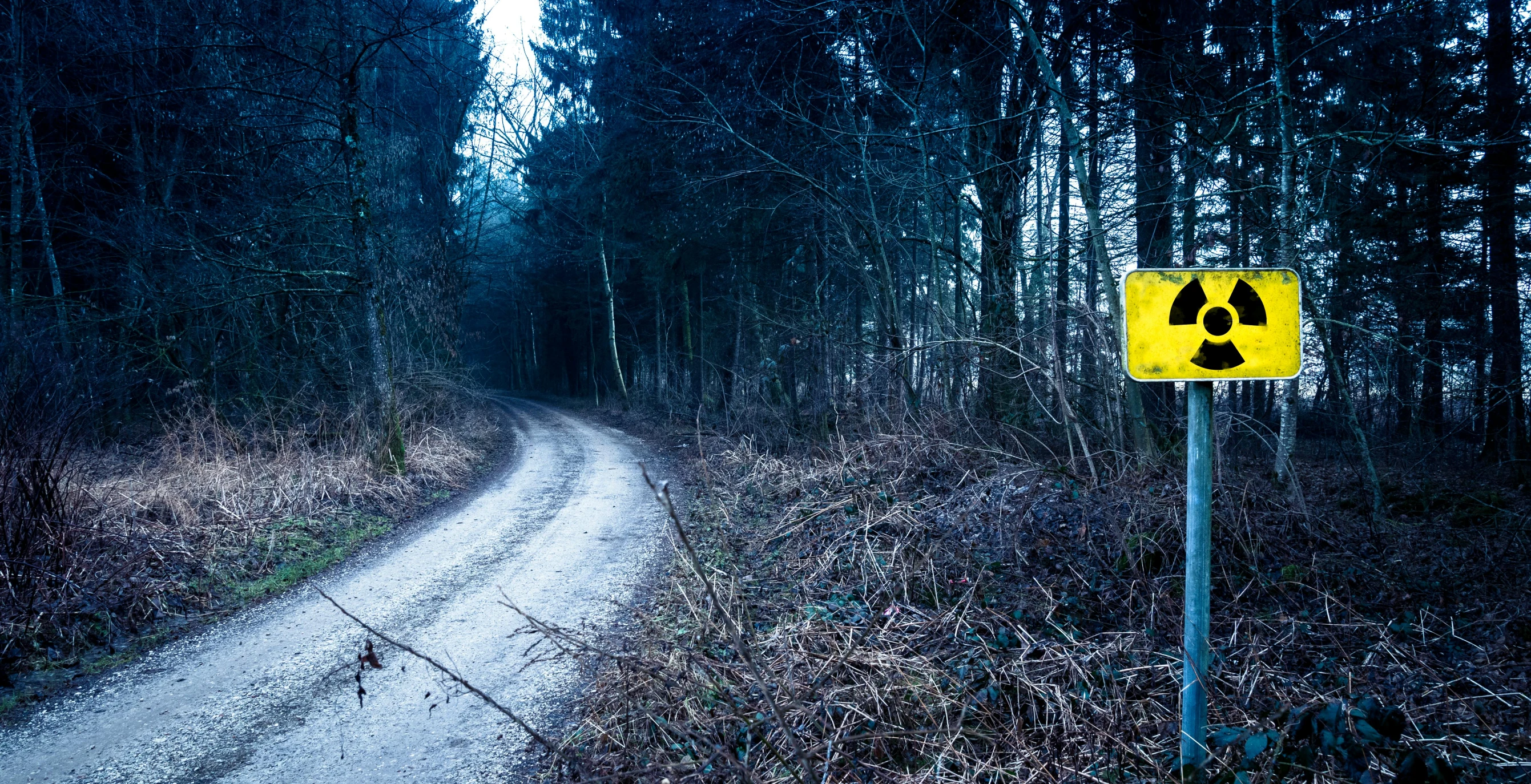 a yellow radioactive sign sitting on the side of a dirt road, by Daniel Seghers, gloomy forest, shot on sony a 7, traffic signs, thumbnail