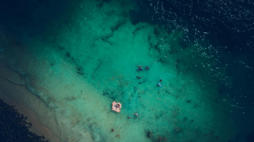 a group of people swimming in a body of water, by Adam Marczyński, pexels contest winner, reefs, helicopter view, floating. greenish blue, thumbnail