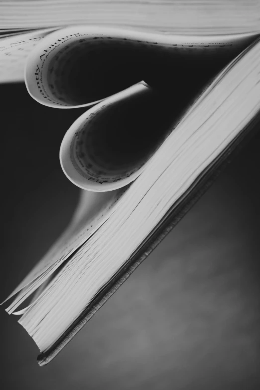 an open book sitting on top of a table, by Jan Kupecký, albert watson, abstract detail, windings, rhythm