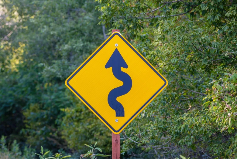 a yellow street sign sitting on the side of a road, by David Garner, unsplash, precisionism, winding rivers, square, snake, shady