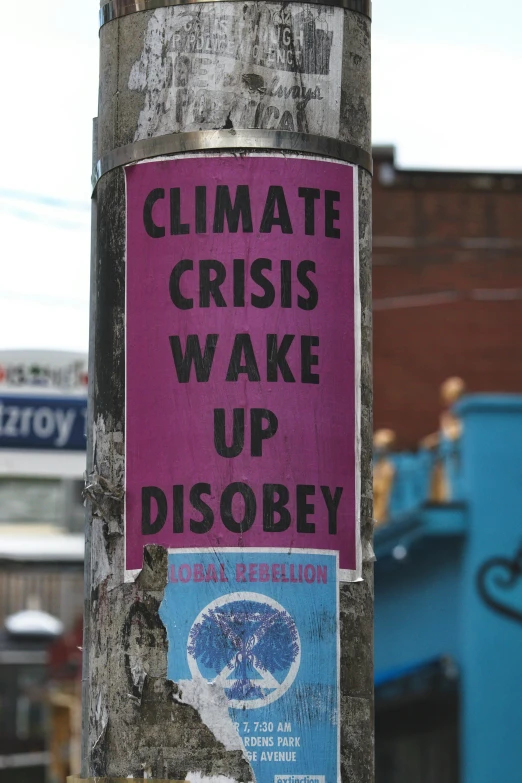 a pole with a sign on it that says climate crisis wake up disobey, a poster, by Billy Childish, trending on unsplash, excessivism, brooklyn, y2k”, pink, neighborhood