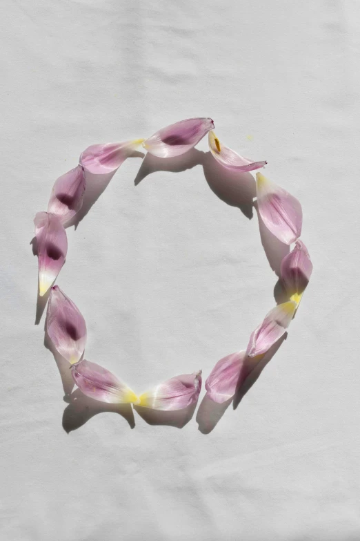 a pink flower wreath sitting on top of a white table, an album cover, by Nina Hamnett, land art, lily petals, round-cropped, pose 4 of 1 6, made of glazed