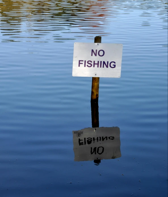 a no fishing sign in the middle of a lake, by Carey Morris, pexels, hurufiyya, thumbnail, floods, english, dominance