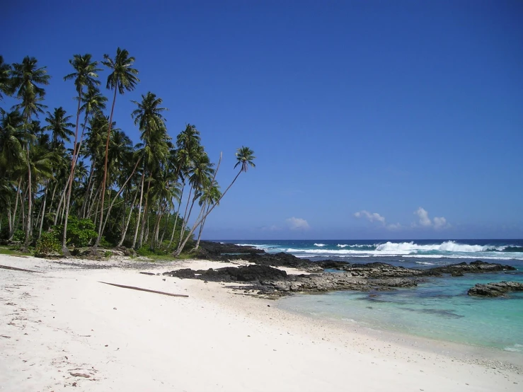 a beach filled with lots of palm trees next to the ocean, hurufiyya, white sandy beach, rocky beach, anthropology photo”