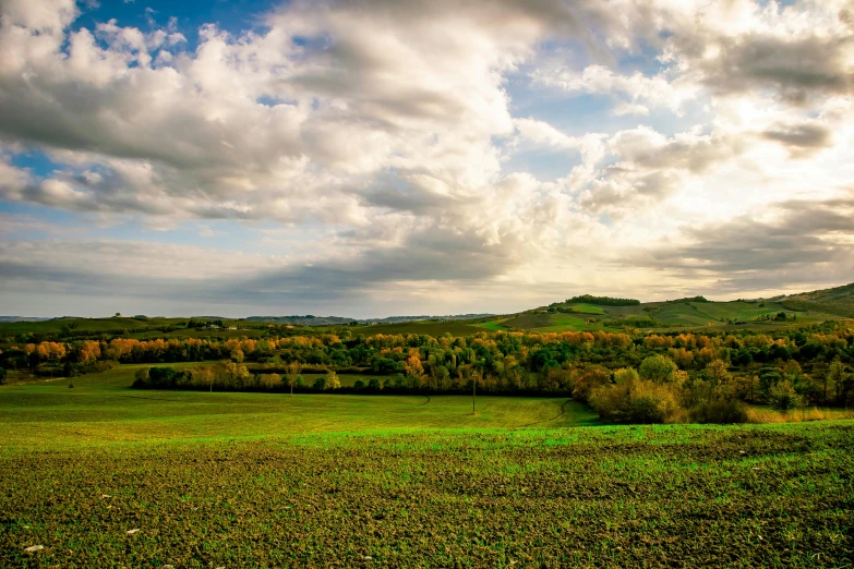 a field filled with lots of green grass under a cloudy sky, by Peter Churcher, pexels contest winner, renaissance, autumnal colours, panorama distant view, late afternoon light, slide show