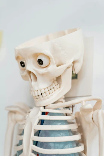 a toy skeleton sitting on top of a table, academic art, close up of face, square jaw, medical imaging, looking surprised