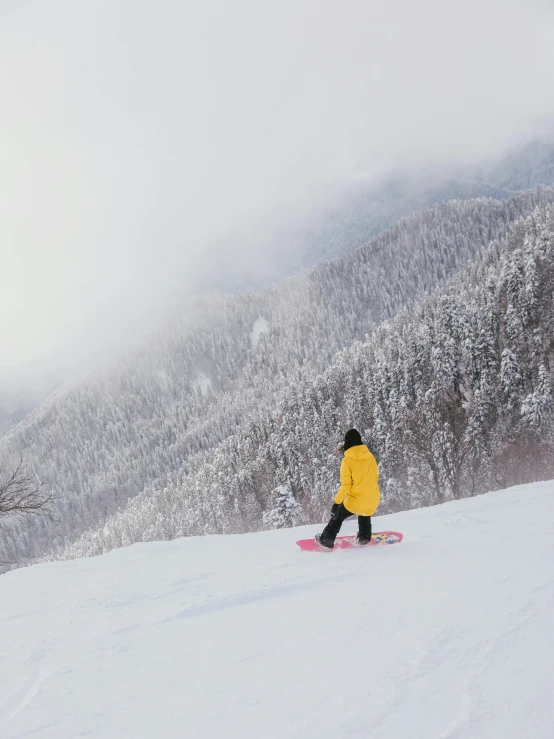 a person riding a snowboard down a snow covered slope, inspired by Tsuji Kakō, pexels contest winner, back view also, in karuizawa, profile image, multiple stories