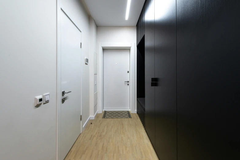 a hallway with wooden floors and white walls, a 3D render, unsplash, black scheme, exiting from a wardrobe, ultrastation hq, flat - color