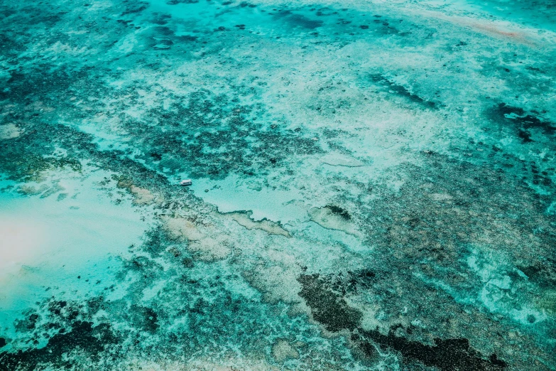 a large body of water next to a sandy beach, an album cover, by Peter Churcher, pexels contest winner, coral sea bottom, extremely detailed water texture, helicopter view, panels