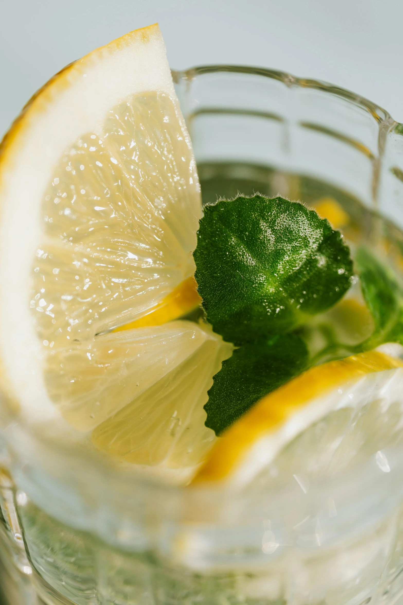 a glass of lemonade with a slice of lemon, pexels, renaissance, mint leaves, multi-dimensional, zoomed in, portrait n - 9