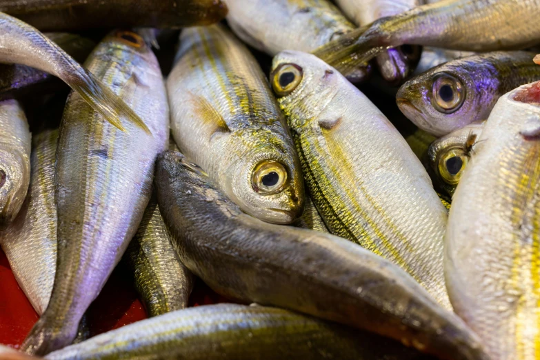 a pile of small fish sitting on top of a table, by Tom Wänerstrand, trending on pexels, renaissance, yellow pupils, a pair of ribbed, purple mullet, white eyes without pupils