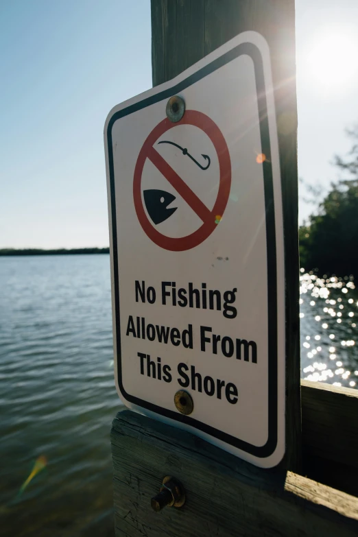 a no fishing allowed from this shore sign, a poster, by Ryan Pancoast, unsplash, taken on iphone 14 pro, florida man, minn, photograph credit: ap