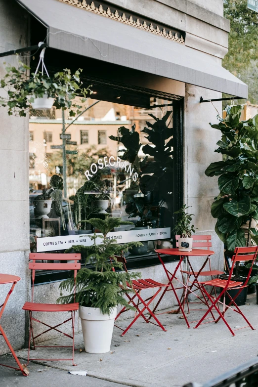 a couple of red chairs sitting on top of a sidewalk, hanging plants, coffee, bakery, cosmopolitan