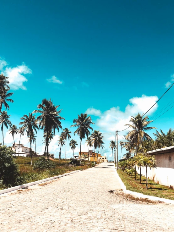 a dirt road surrounded by palm trees on a sunny day, an album cover, unsplash, streets of salvador, fishing village, slide show, profile image