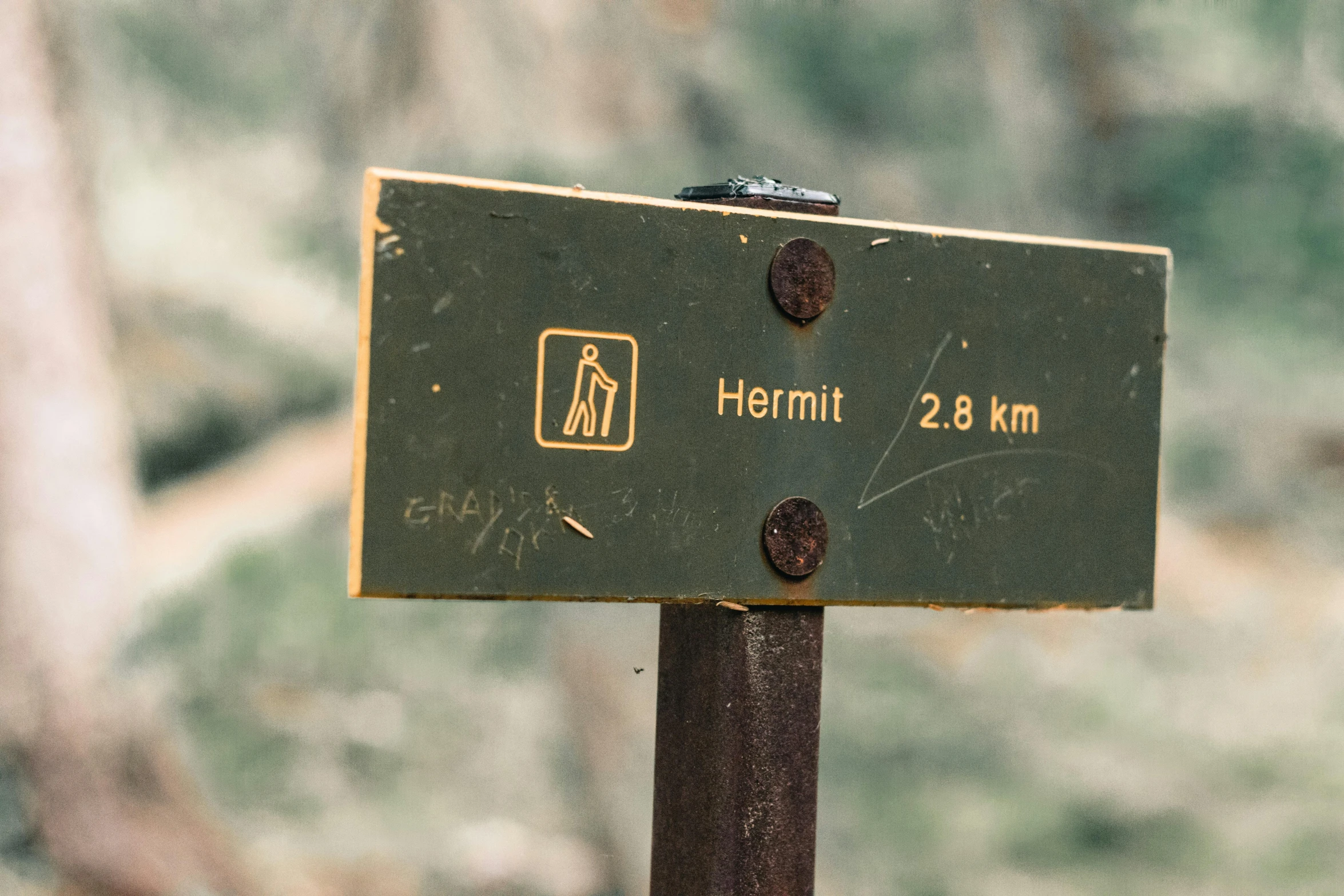 a green sign sitting on top of a metal pole, pexels, hurufiyya, mountain label, tarot card the hermit, hiking trail, thumbnail